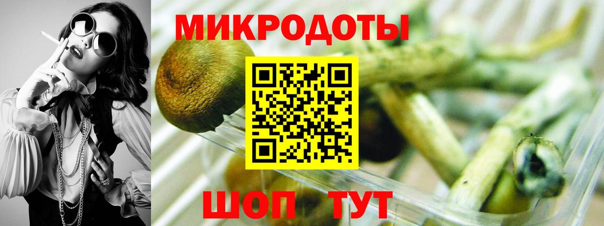 Галлюциногенные грибы Psilocybine cubensis Тара